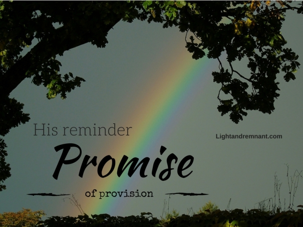 Promise of provision
